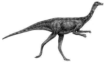 An artist's impression of Gallimimus