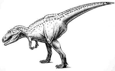 An artist's impression of Giganotosaurus