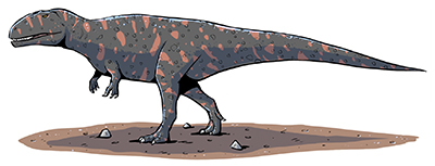 An artist's impression of Giganotosaurus