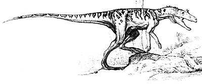 An artist's impression of Herrerasaurus