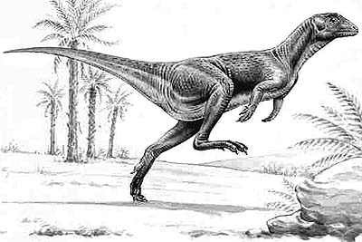 Heterodontosaurus