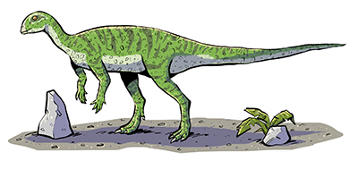 An artist's impression of Hypsilophodon