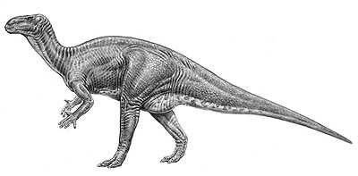 An artist's impression of Iguanodon