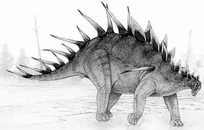 An artist's impression of Kentrosaurus