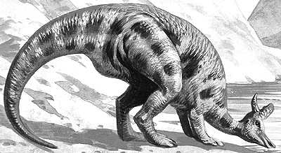 An artist's impression of Lambeosaurus