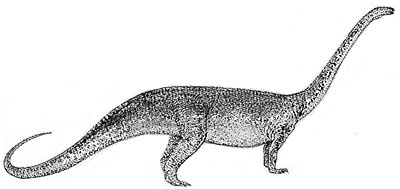 An artist's impression of Massospondylus