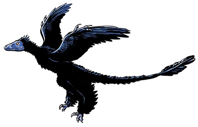 Microraptor