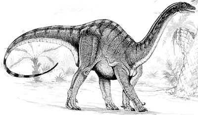 An artist's impression of Mussaurus