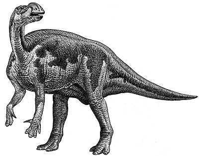 An artist's impression of Muttaburrasaurus