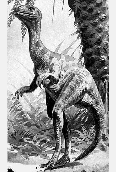 An artist's impression of Ornitholestes