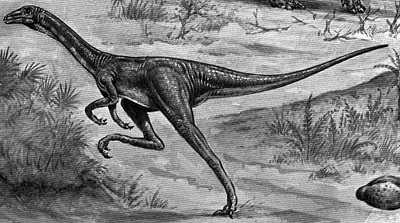 An artist's impression of Ornithomimus