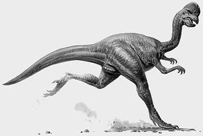 An artist's impression of Oviraptor