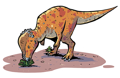 An artist's impression of Pachycephalosaurus