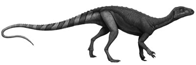 An artist's impression of Pantydraco