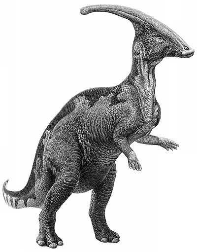 An artist's impression of Parasaurolophus