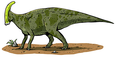 An artist's impression of Parasaurolophus