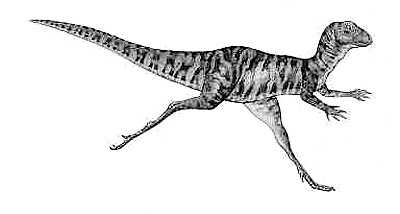 An artist's impression of Parksosaurus