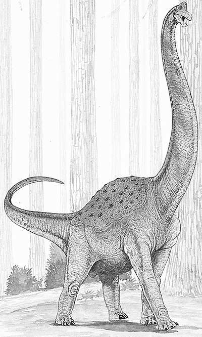 An artist's impression of Pelorosaurus