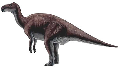 Probactrosaurus milieu