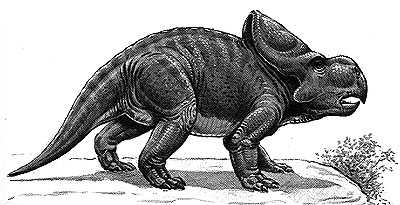 An artist's impression of Protoceratops