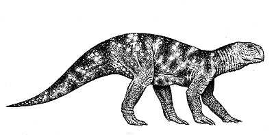 An artist's impression of Psittacosaurus