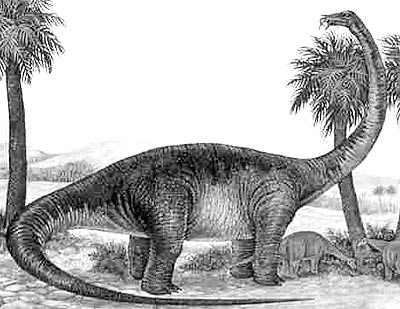 An artist's impression of Saltasaurus