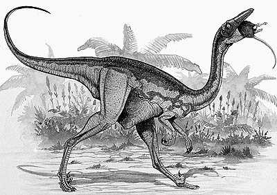 An artist's impression of Saurornithoides