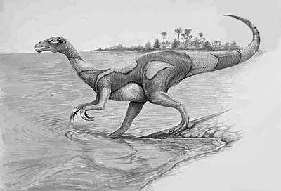 An artist's impression of Segnosaurus