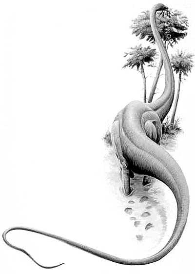 Seismosaurus