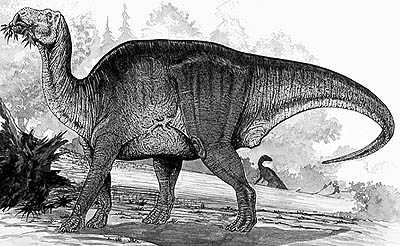 An artist's impression of Shantungosaurus