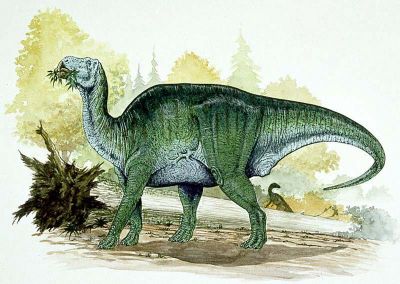 Shantungosaurus milieu