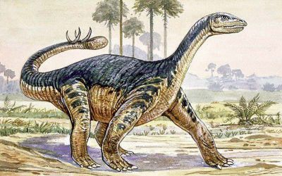 Shunosaurus milieu