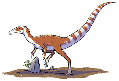An artist's impression of Sinosauropteryx