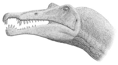 Spinosaurus milieu