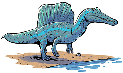 An artist's impression of Spinosaurus