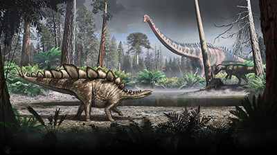 Stegosaurus milieu