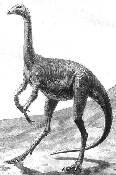 An artist's impression of Struthiomimus