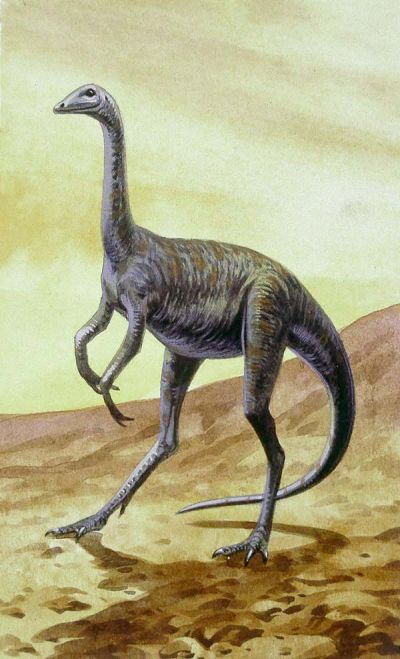 Struthiomimus milieu