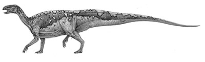 An artist's impression of Tenontosaurus