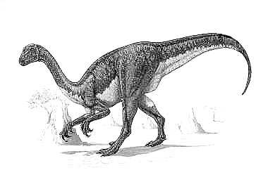 An artist's impression of Therizinosaurus