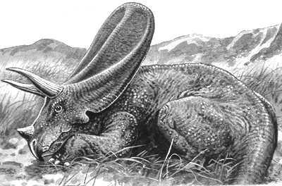 An artist's impression of Torosaurus