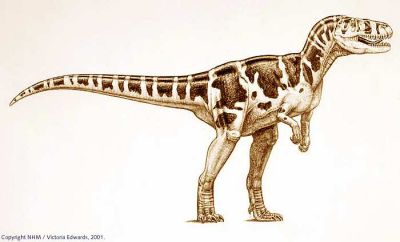 Torvosaurus milieu