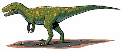 An artist's impression of Torvosaurus