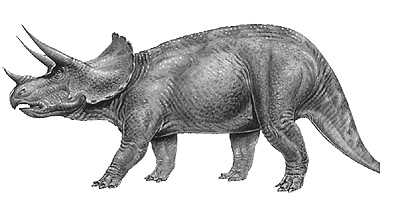 An artist's impression of Triceratops