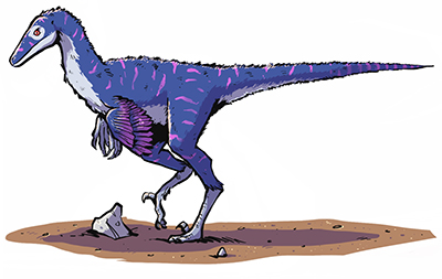 An artist's impression of Troodon