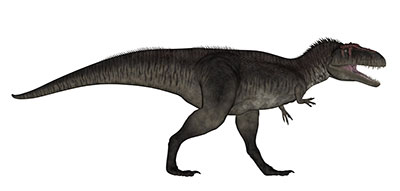 An artist's impression of Tyrannotitan