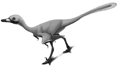 An artist's impression of Urbacodon