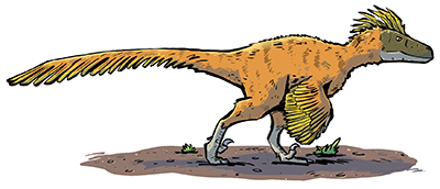 An artist's impression of Utahraptor