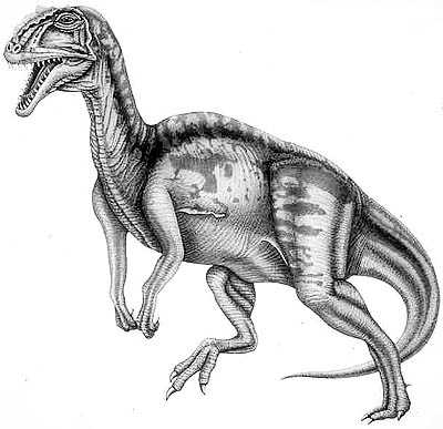 An artist's impression of Yangchuanosaurus