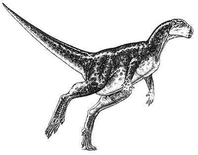 An artist's impression of Zephyrosaurus